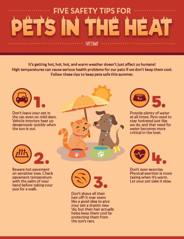 67087877_1234164253420051_2668096330668179456_n